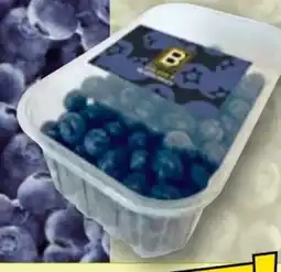 Norma Golden B Blueberries Premium Kultur-Heidelbeeren Angebot