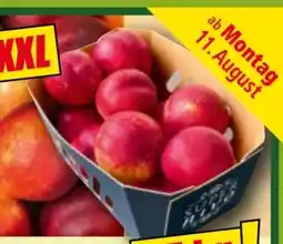 Norma Super Nivo Premium Nektarinen Angebot