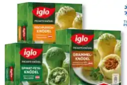 Unimarkt Iglo Pikante Knödel Angebot