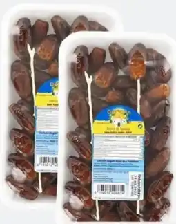 ETSAN Datcha Datteln Angebot