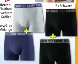 Norma Camp David Herren Retroshorts Angebot