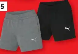 Lidl Puma Damen Sweatshort Angebot