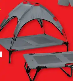 Lidl zoofari Hundebett Angebot