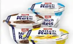 Billa Müller Milchreis Angebot