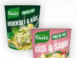 Billa Knorr Snack Becher Angebot