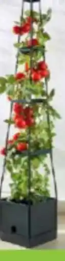 Norma Powertec Garden Tomaten-Pflanzturm Angebot