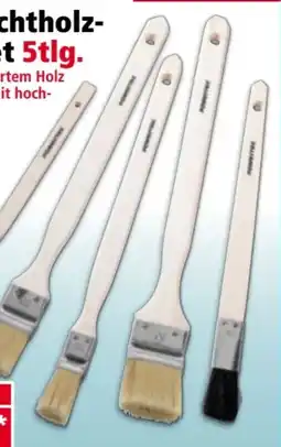 Norma Powertec Color Echtholz-Pinsel-Set Angebot