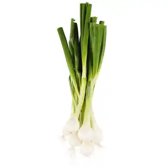 Billa Jungzwiebel BILLA Angebot