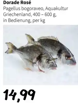 Der Grissemann Dorade Rosé Angebot