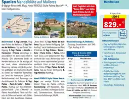 Lidl Reisen Spanien Mandelblüte auf Mallorcal Angebot