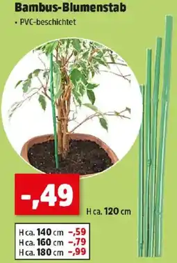 Thomas Philipps Bambus-Blumenstab Angebot