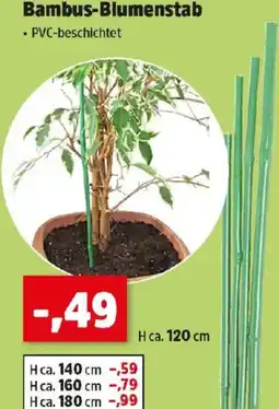 Thomas Philipps Bambus-Blumenstab Angebot