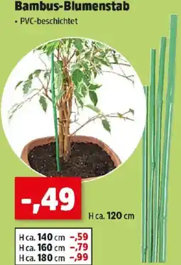 Thomas Philipps Bambus-Blumenstab Angebot