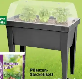 Thomas Philipps Hochbeet Angebot