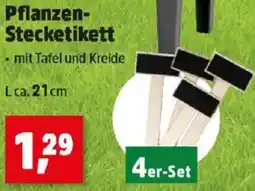 Thomas Philipps Pflanzen- Stecketikett Angebot