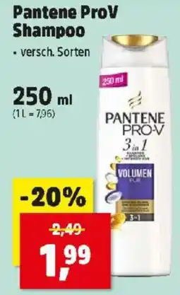 Thomas Philipps Pantene ProV Shampoo Angebot