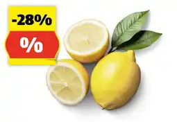 Hofer HOFER MARKTPLATZ BIO Zitronen, 500 g Angebot