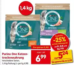 Interspar Purina One Katzentrockenahrung Angebot