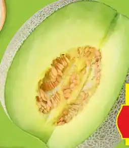Hofer Hofer Marktplatz Zuckermelone Galia Angebot