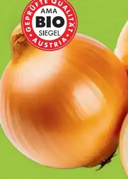 Hofer Zurück zum Ursprung Bio-Zwiebeln Angebot