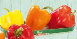 Spar Spar Paprika-Mix Angebot
