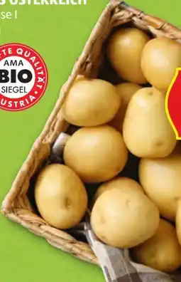 Hofer Zurück zum Ursprung Bio-Kartoffeln Angebot