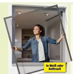 Bauhaus Windhager Screen Insektenschutzfenster Rhino Angebot