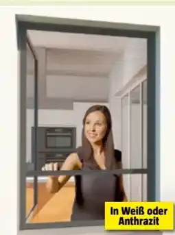 Bauhaus Windhager Plissee-Insektenschutzfenster Angebot