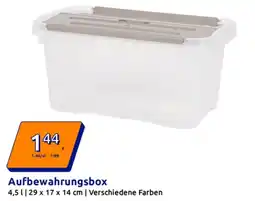 Action Aufbewahrungsbox Angebot