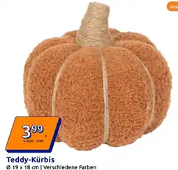 Action Teddy-Kürbis Angebot