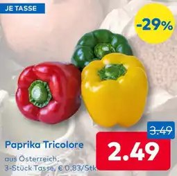 T&G Paprika Tricolore Angebot