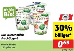 Nah&Frisch Bio Wiesenmilch Fruchtjogurt Angebot