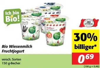 Nah&Frisch Bio Wiesenmilch Fruchtjogurt Angebot
