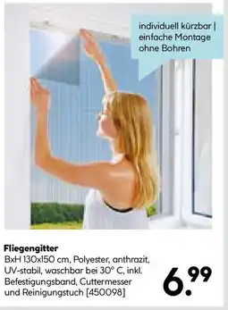 Hellweg Fliegengitter Angebot