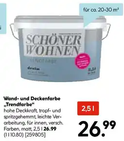 Hellweg Wand und Deckenfarbe Trendfarbe Angebot