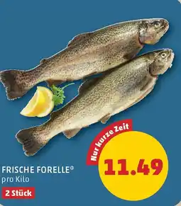 PENNY Frische forelle Angebot