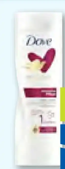 ADEG Dove Body Lotion Angebot