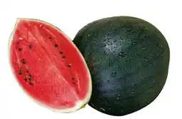 Metro Bio Mini Wassermelone Angebot