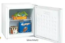 Metro Aro Minigefrierschrank MZ46WE Angebot