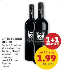 Gatto freddo merlot