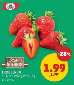 PENNY Erdbeeren Angebot