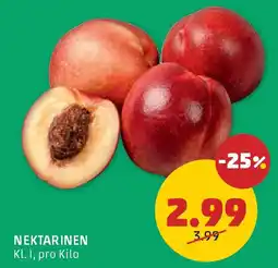 PENNY Nektarinen Angebot