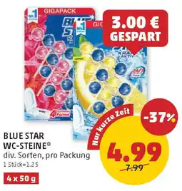 PENNY Blue star wc-steine Angebot