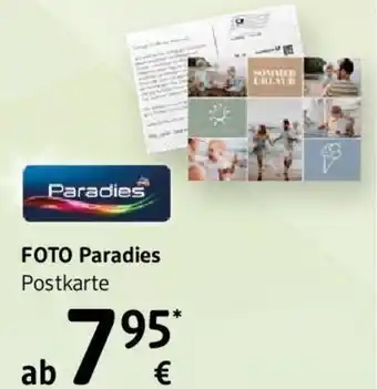 dm FOTO Paradies Postkarte Angebot