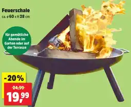 Thomas Philipps Feuerschale Angebot