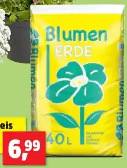 Thomas Philipps Blumenerde Angebot