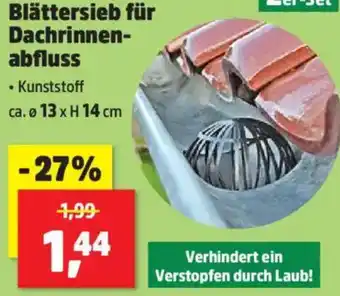 Thomas Philipps Blättersieb für dachrinnen- abfluss Angebot