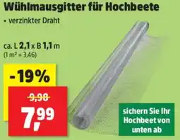 Thomas Philipps Wühlmausgitter für Hochbeete Angebot