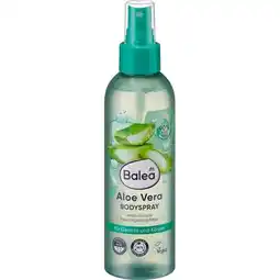 dm Bodyspray div. Sorten dm Angebot