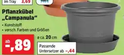 Thomas Philipps Pflanzkübel Campanula Angebot